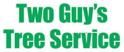 twoguystreeservice